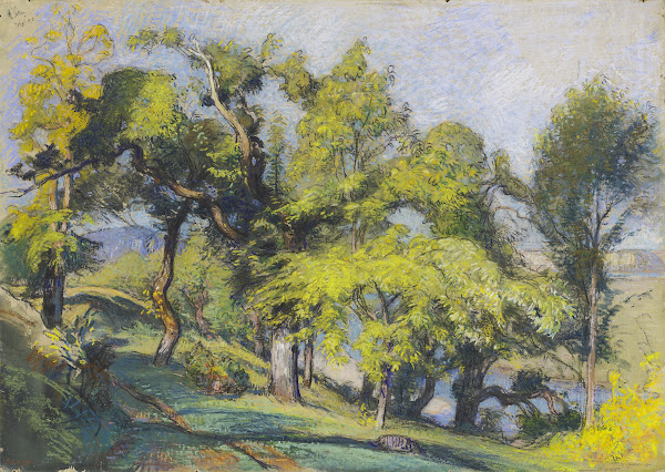 Chestnut Trees above a River c1900