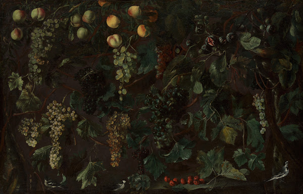 Grape Vines and Fruit with Three Wagtails ca 161518