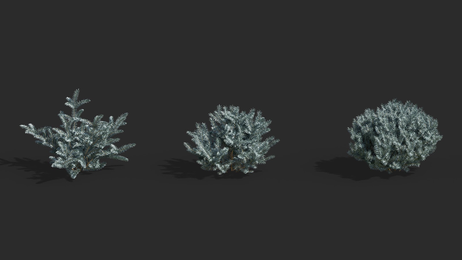 Maxtree - Plant Models Vol.63