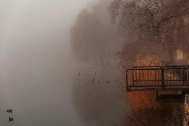 겨울만 되면 우울한 기분, 이유는 무엇일까?