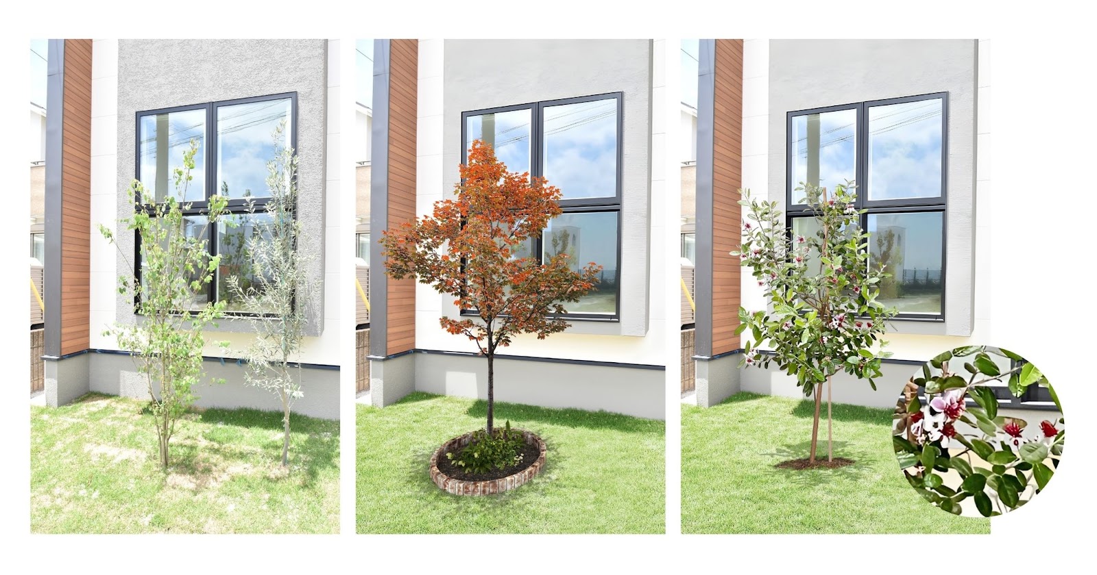 日中の照明の様子、STEP01：ナチュラ、STEP2：エクステリア、STEP3：植栽