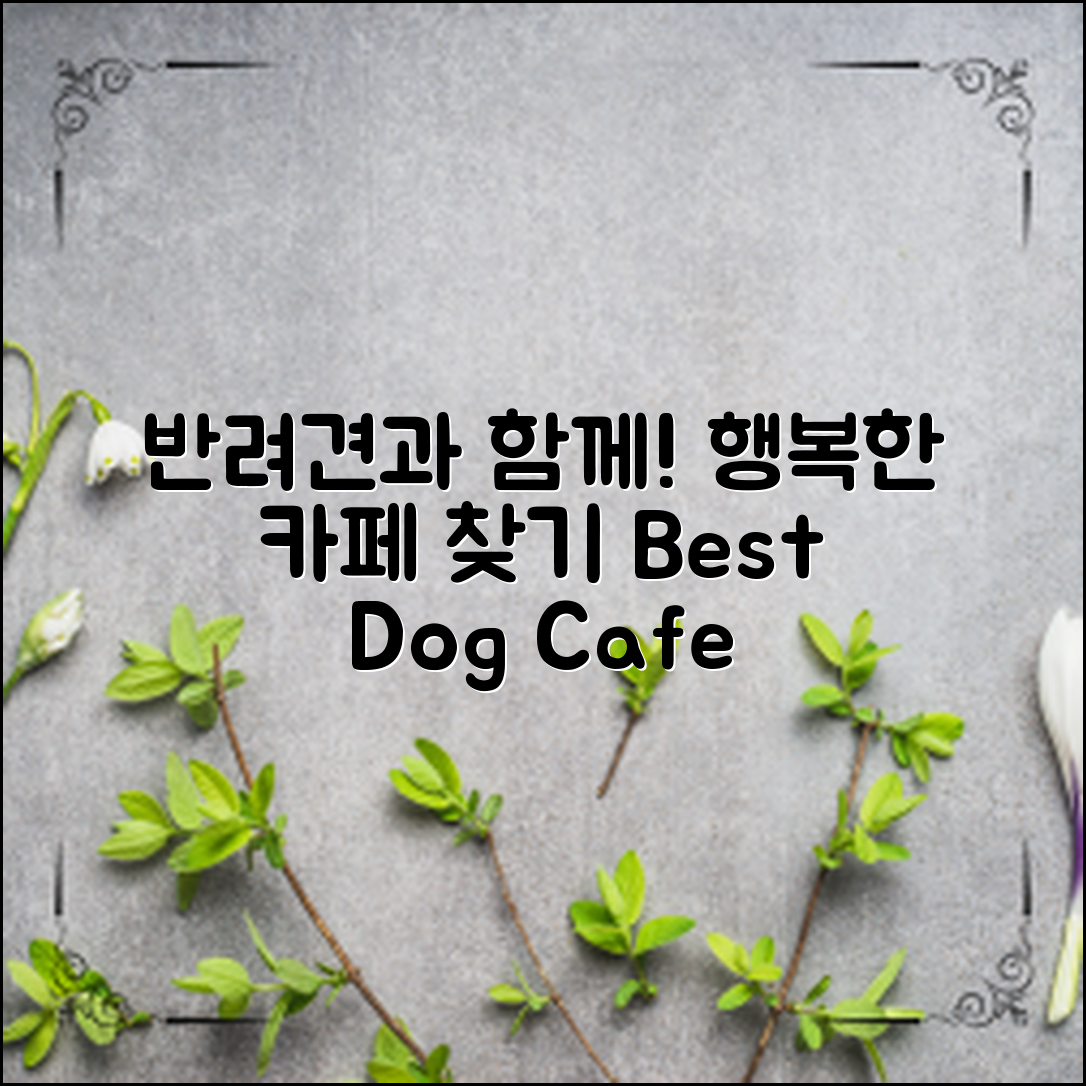 반려견동반카페추천: 당신과 반려견이 행복한 공간 찾기