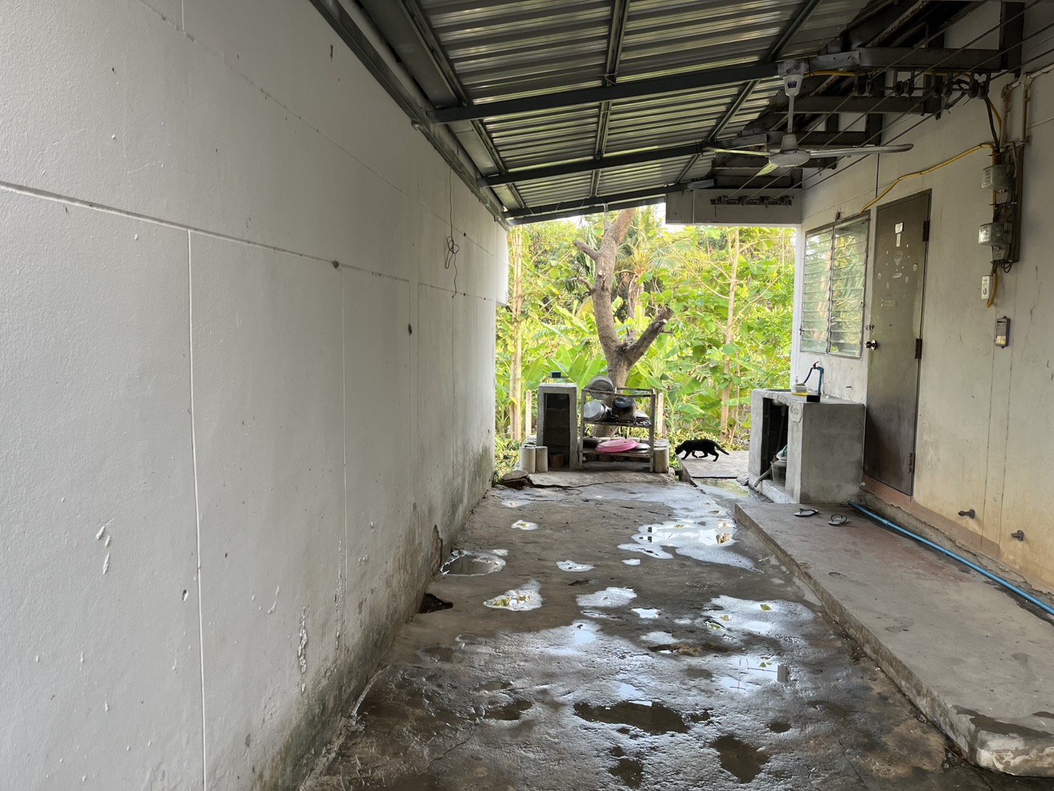 หลังทำ ภาพที่ 3