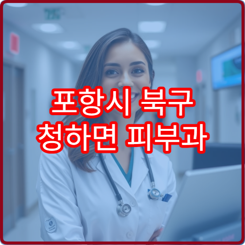 포항시 북구 청하면 피부과 설날 명절 진료 병원 운영시간