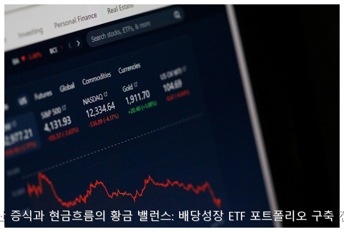 배당성장 ETF 포트폴리오 전략 가이드 핵심 안내 및 분석 인포그래픽 (5)