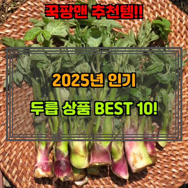 4월 13일, N쇼핑 검색 TOP 3, 두릅 베스트 5