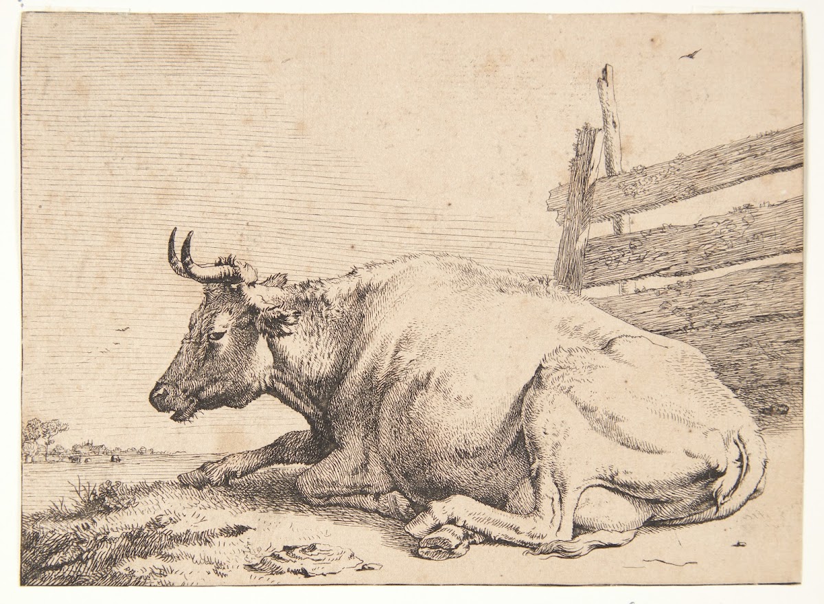 Ko liggende ved et hegn 1650
