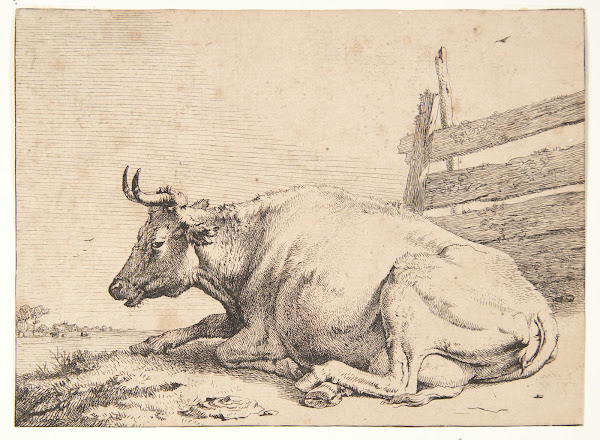Ko liggende ved et hegn 1650