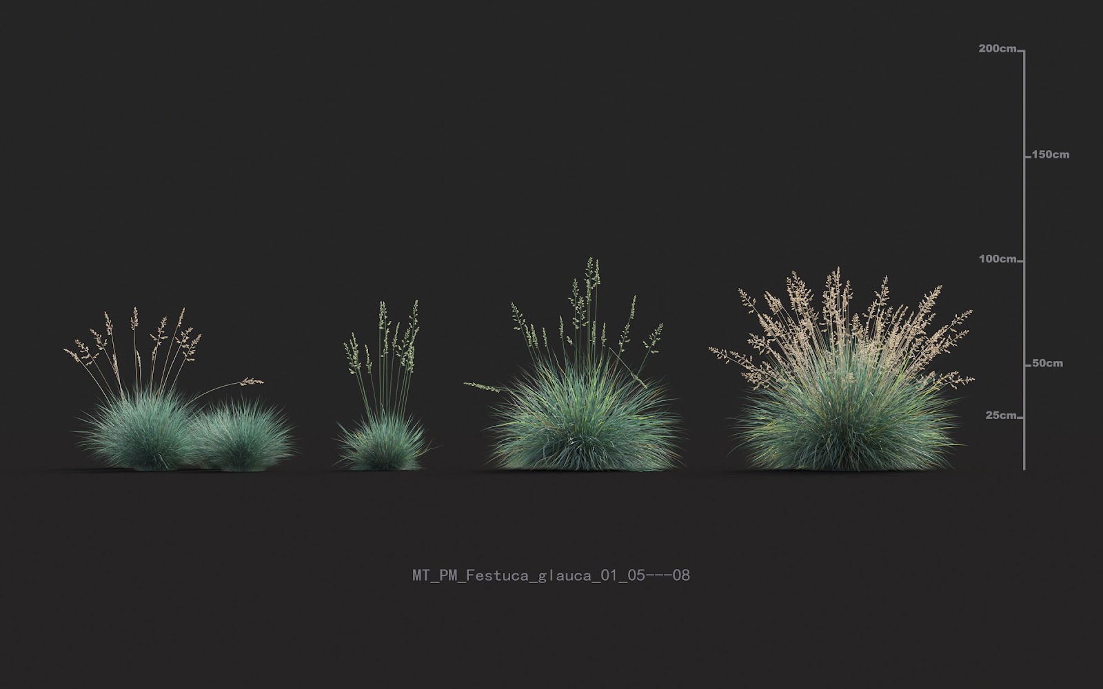 Maxtree - Plant Models Vol.20