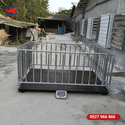 Lắp đặt cân sàn 2 tấn tại Hưng Yên