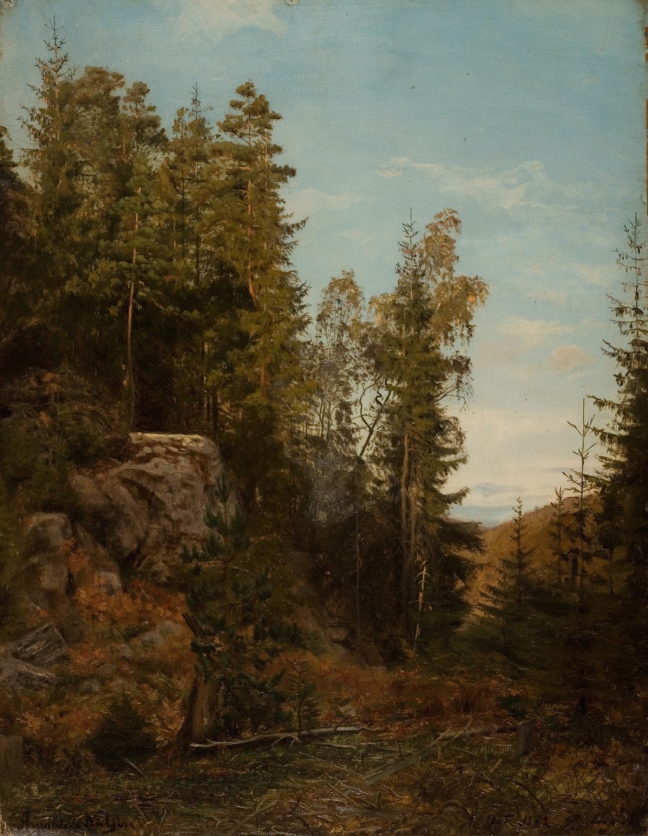 Skoginteriør Bjelland Mandal 1862