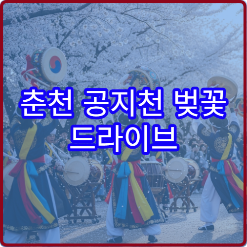 춘천 공지천 벚꽃 드라이브 주차 피하는 루트 초보 추천