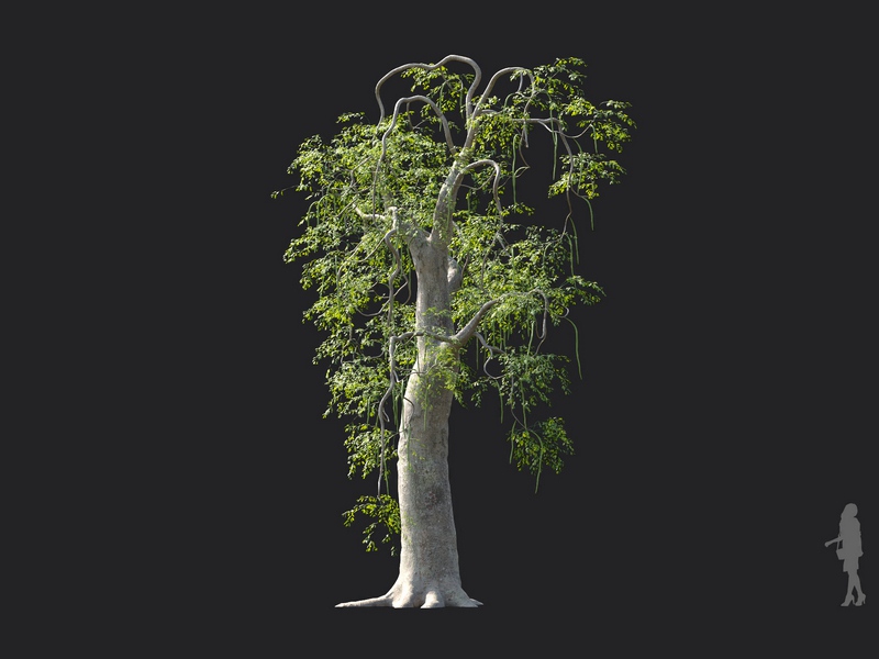Maxtree - Plant Models Vol.130