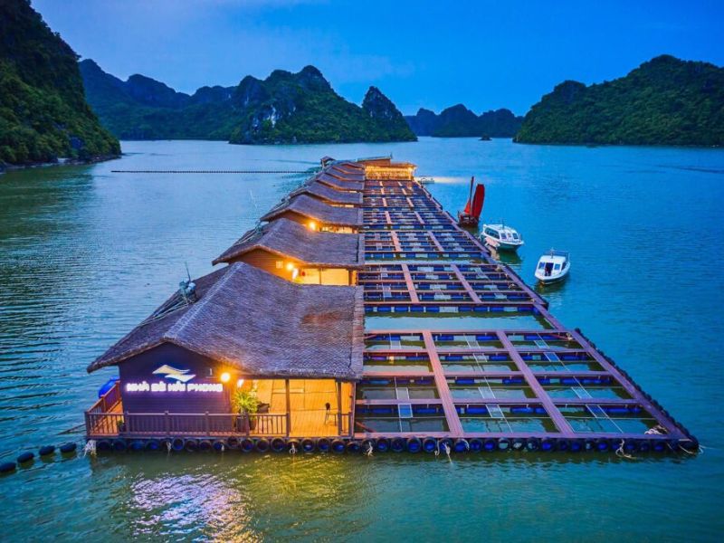 Nha be hai phong vinh lan ha