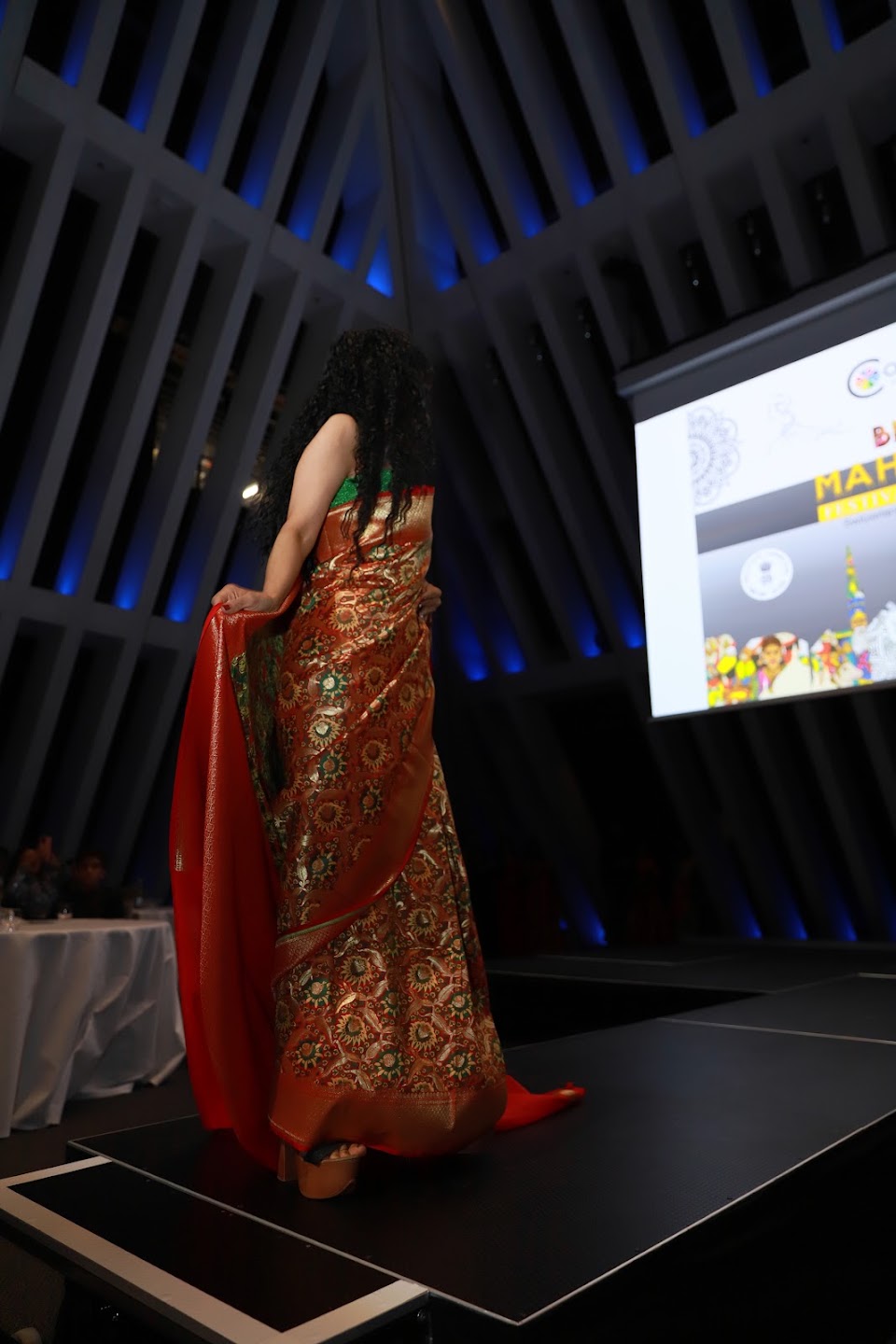 Bharat Mahotsav — Festival of One India, Zurich, Switzerland — photograph 12