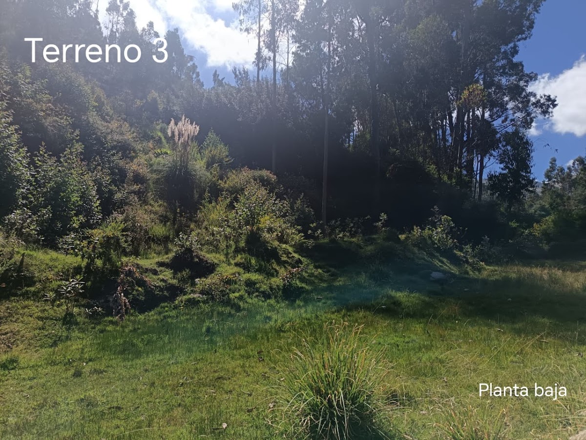 Imagen 2 de Terreno