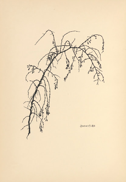 Vertrauen Pl27 1933
