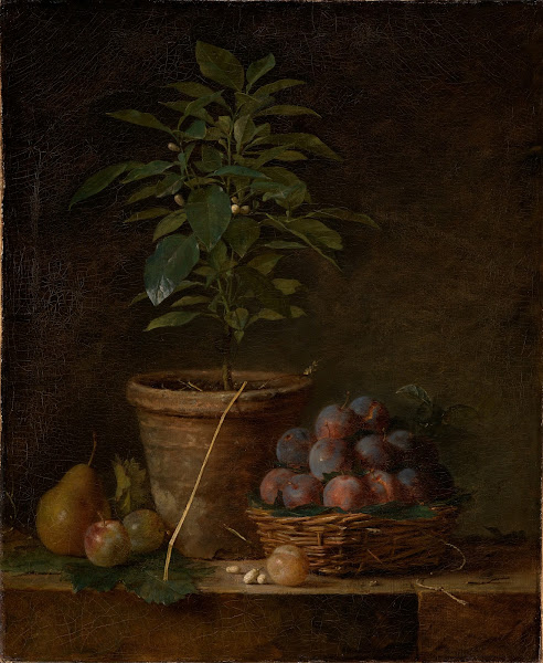 Das Orangenbäumchen ca 1763