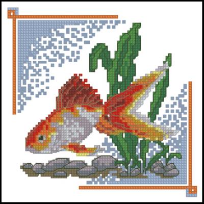 CMP 290125 Pattern