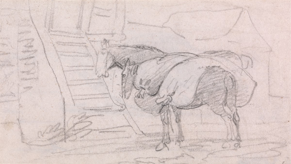 Two Pack Horses