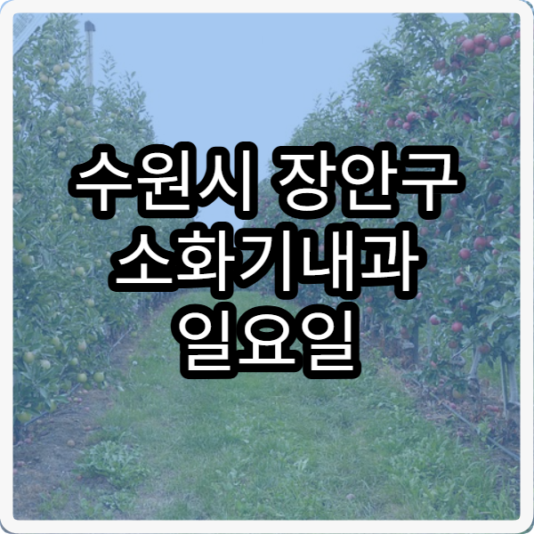 수원시 장안구 소화기내과 일요일 진료 병원 위장 건강 주말 진료 안내
