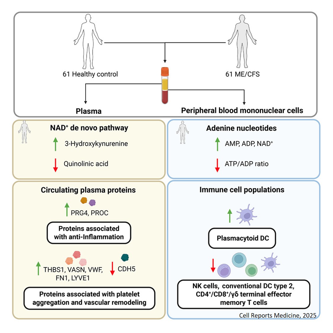Mapping the complexity of ME/CFS: Evidence for abnormal energy metabolism, altered immune profile, and vascular dysfunction