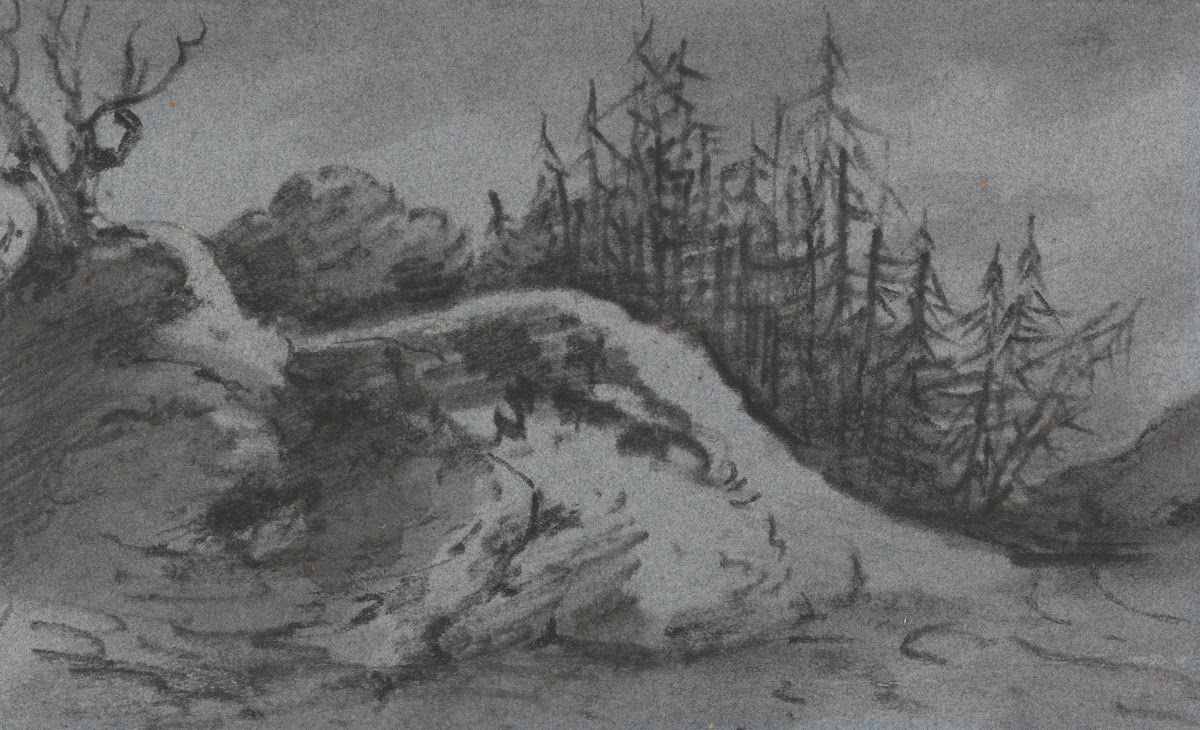 Composition of Rocks and Pine Trees