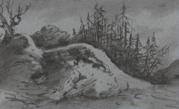 Composition of Rocks and Pine Trees