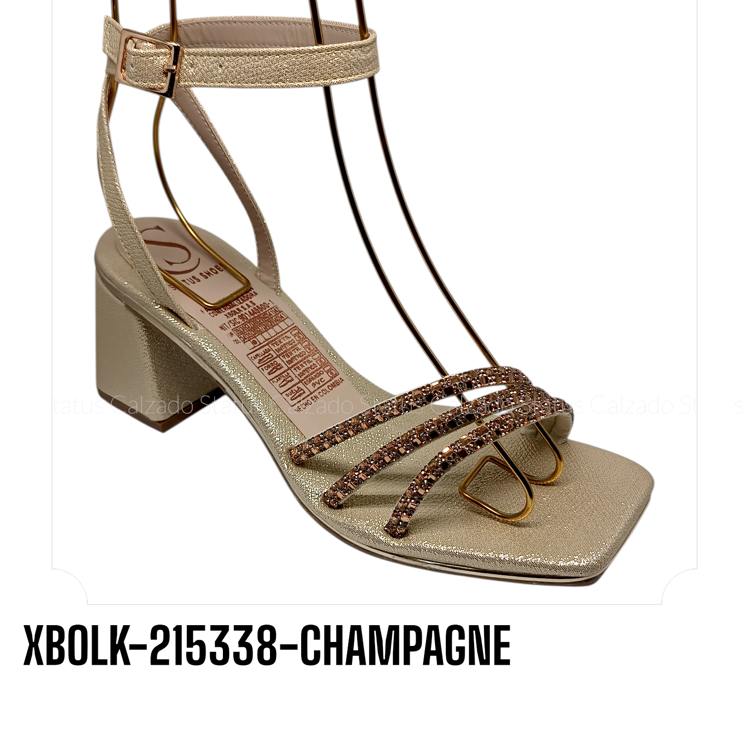 XBOLK-215338-CHAMPAGNE