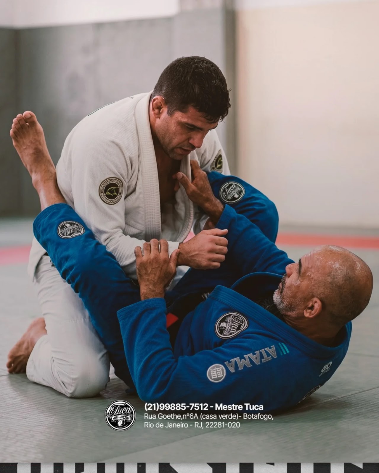 Escola de Jiu-Jitsu Tuca - Foto 5