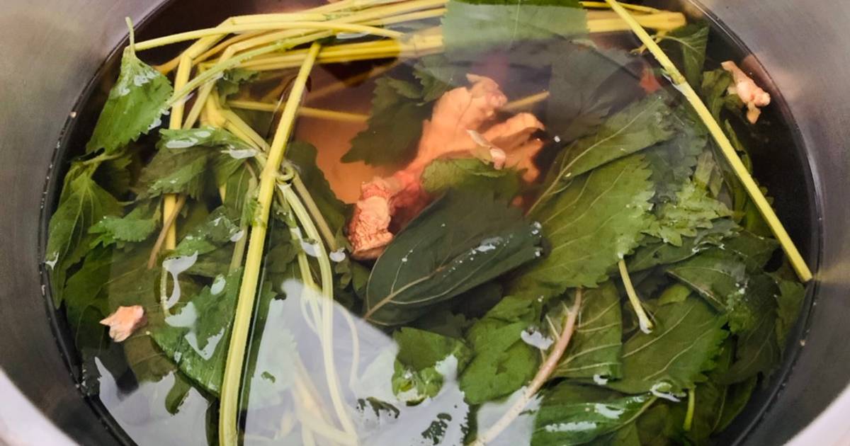 Nước gừng tía tô chanh mật ong