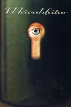 Смех чайки