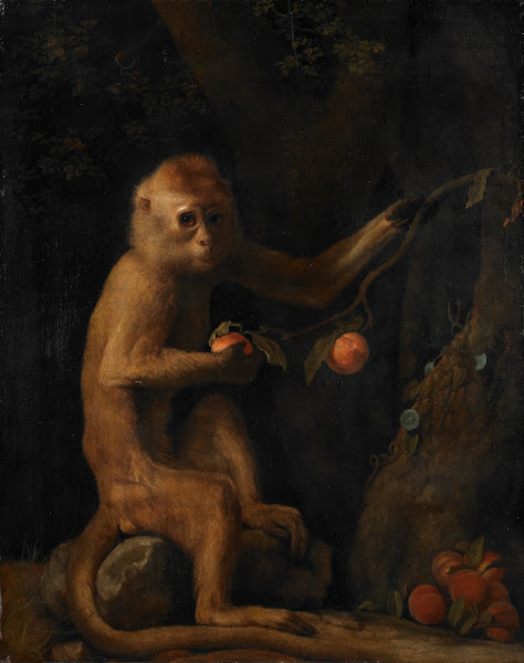 A Monkey 1799