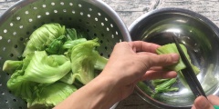 Cắt cải thành miếng vừa ăn.