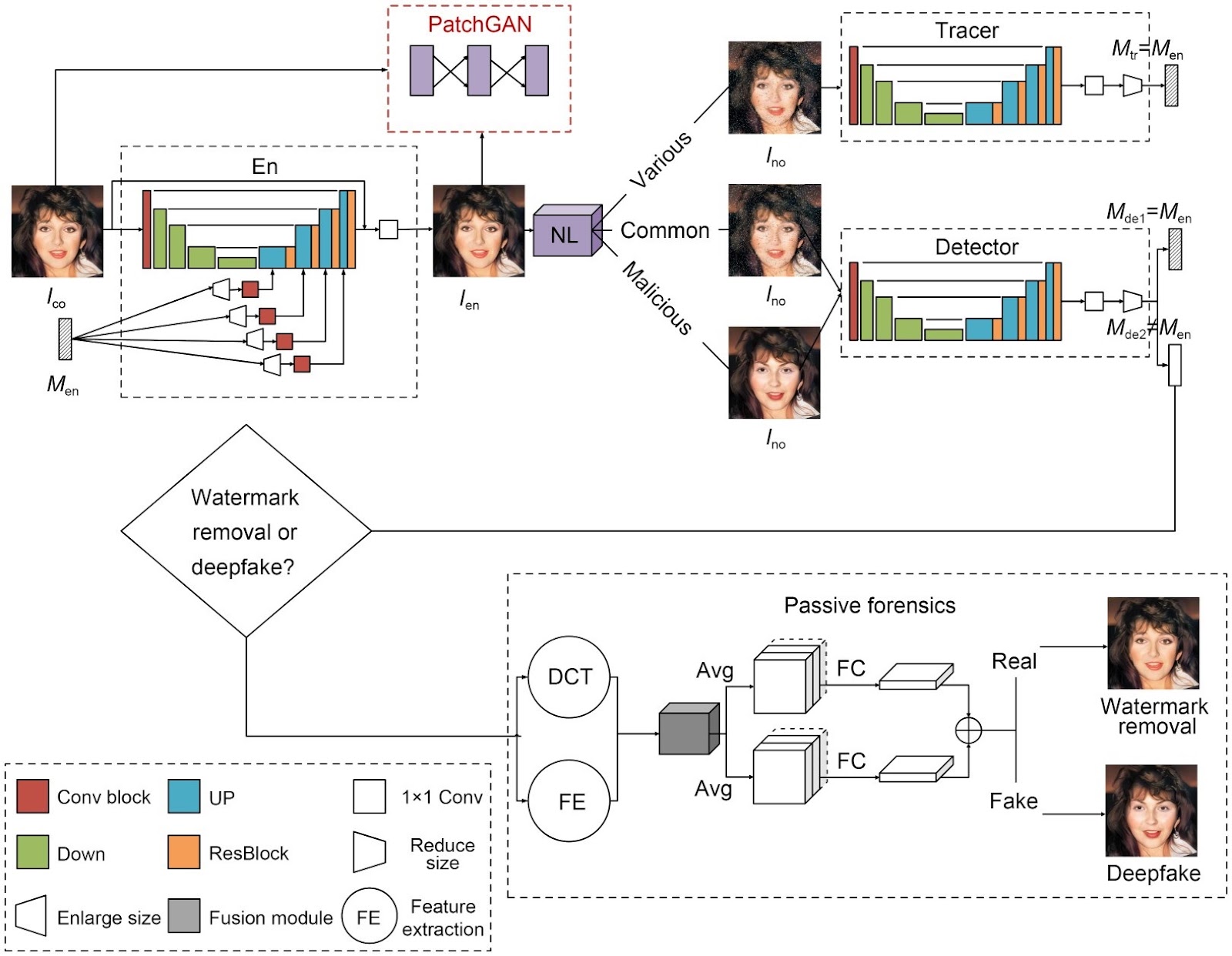 Full-defense framework: multi-level deepfake detection and source tracing