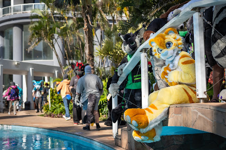 furdu-03822.jpg