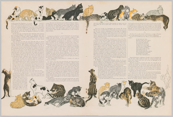On Cats by Jacques Dalbray 1901