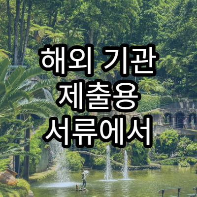 해외 기관 제출용 서류에서 국문과 영문 선택 기준