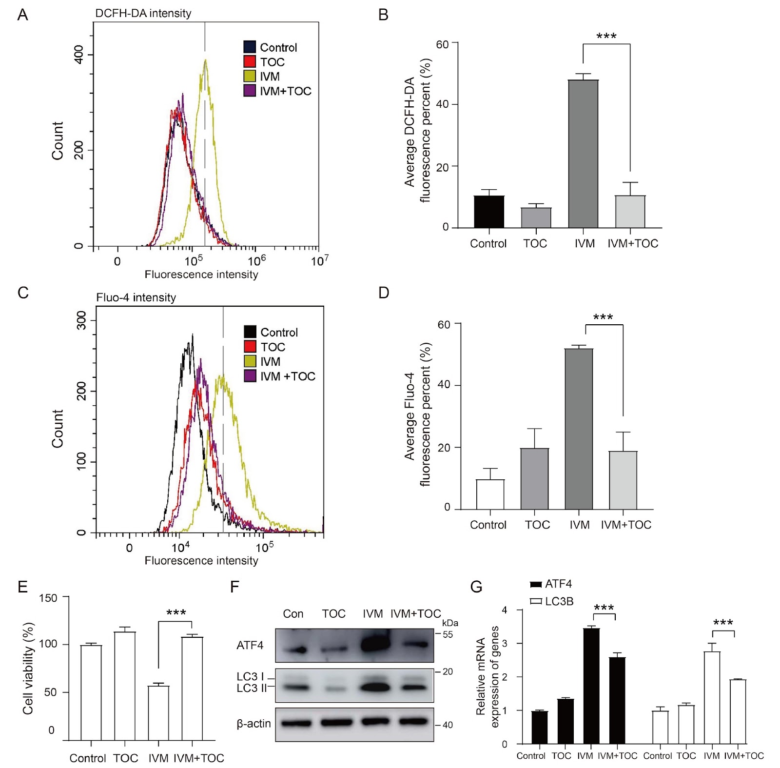 Ivermectin inhibits the growth of ESCC by activating the ATF4-mediated endoplasmic reticulum stress-autophagy pathway