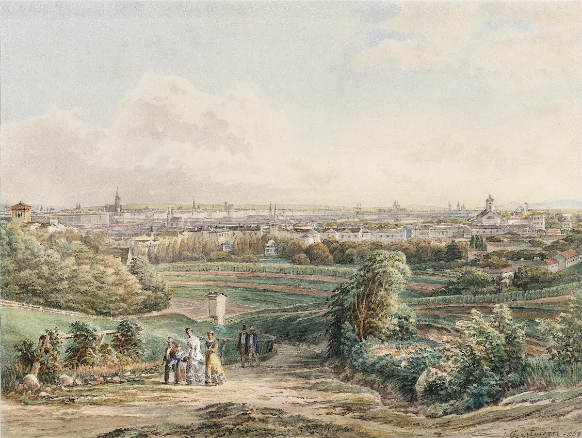 A view of Vienna seen from Döbling 1868