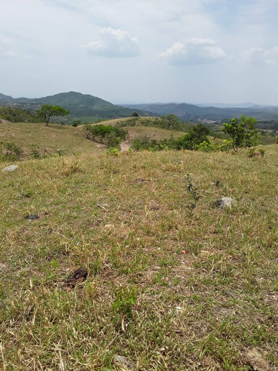 Fazenda em Cocalzinho de Goiás - GO (PORTERA FECHADA) 2