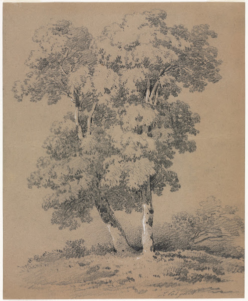 Jules Coignet