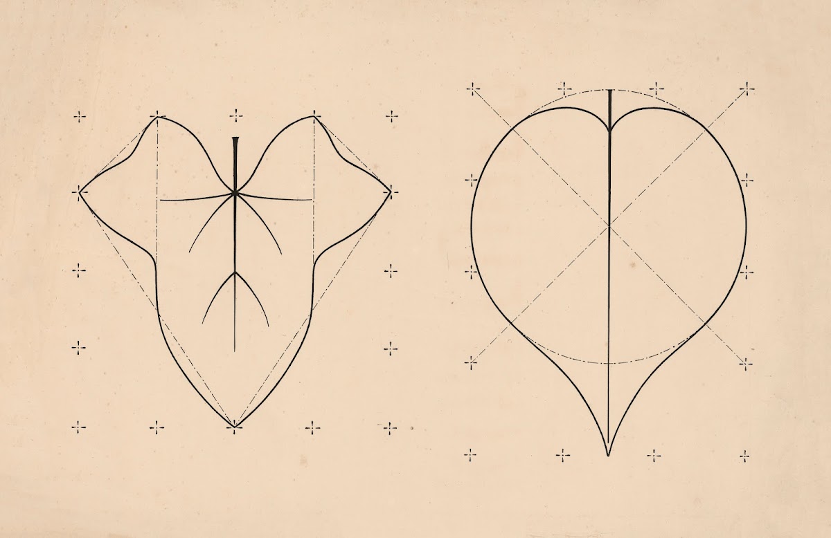 Leaf and apple heart 1879
