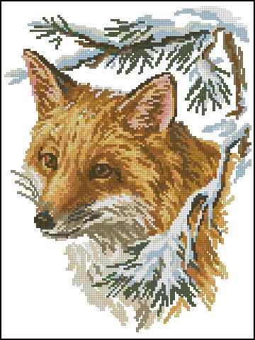 CMP 400315 Fox