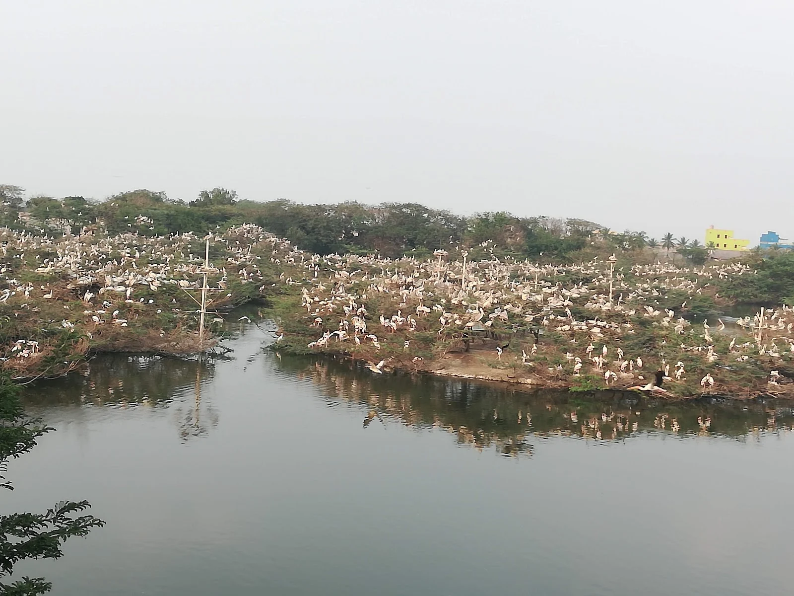 Uppalapadu Nature Conservation