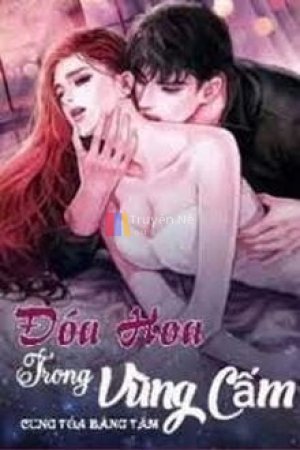 Đóa Hoa Trong Vùng Cấm