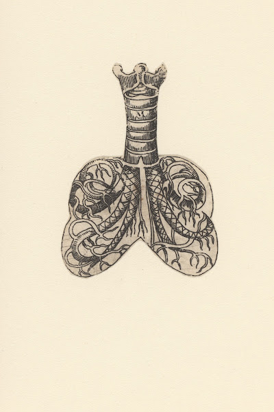 Cross section of trachea and lungs