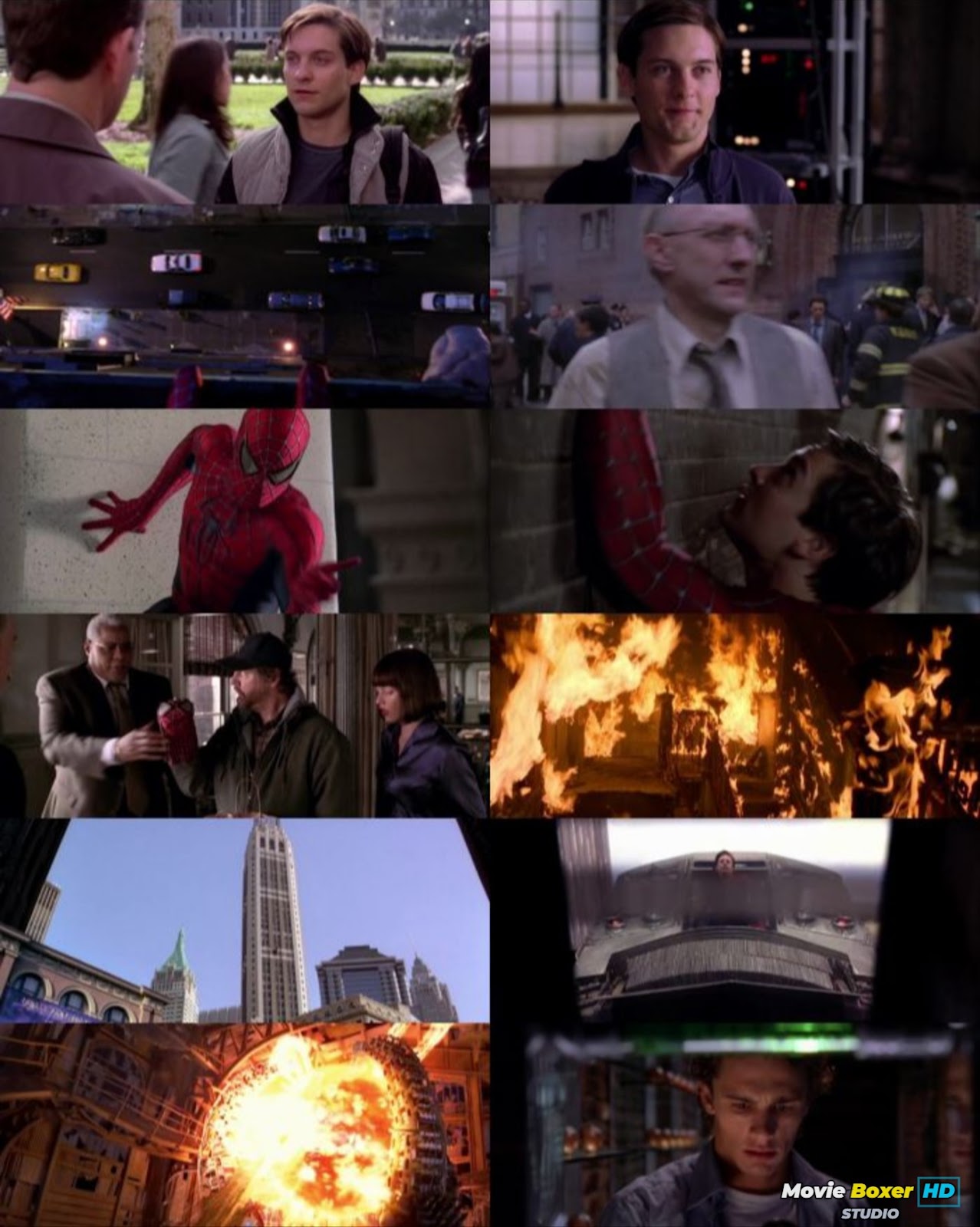 Screenshots Grid
