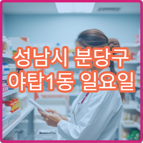 성남시 분당구 야탑1동 일요일 당직약국 야탑역 인근 약국