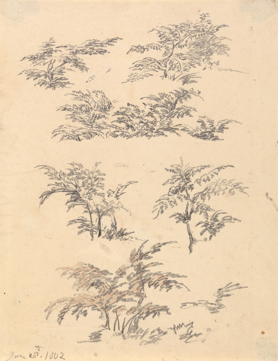 Study of Bracken 1802